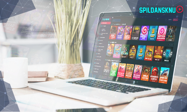 Overview of Spildansknu Online Casino